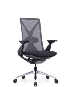Fercula Task Chair | In House