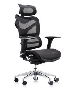 Dorsum Ergonomic Task Chair | In House