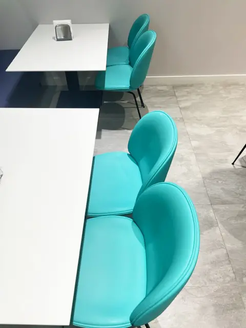 GUBI Beetle Dining Chairs