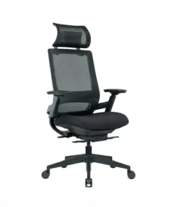 Tenmc Ergonomic Chair | In House