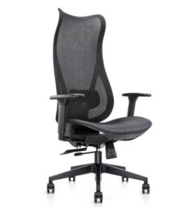 Mala Ergonomic Chair | In House