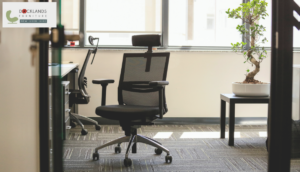 Office Chairs for Sale